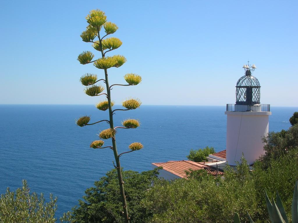 Apartamento Antic Plankton - Calella Palafrugell - Free Parking, Beach, Wifi, Perfect Holidays Calella De Palafrugell