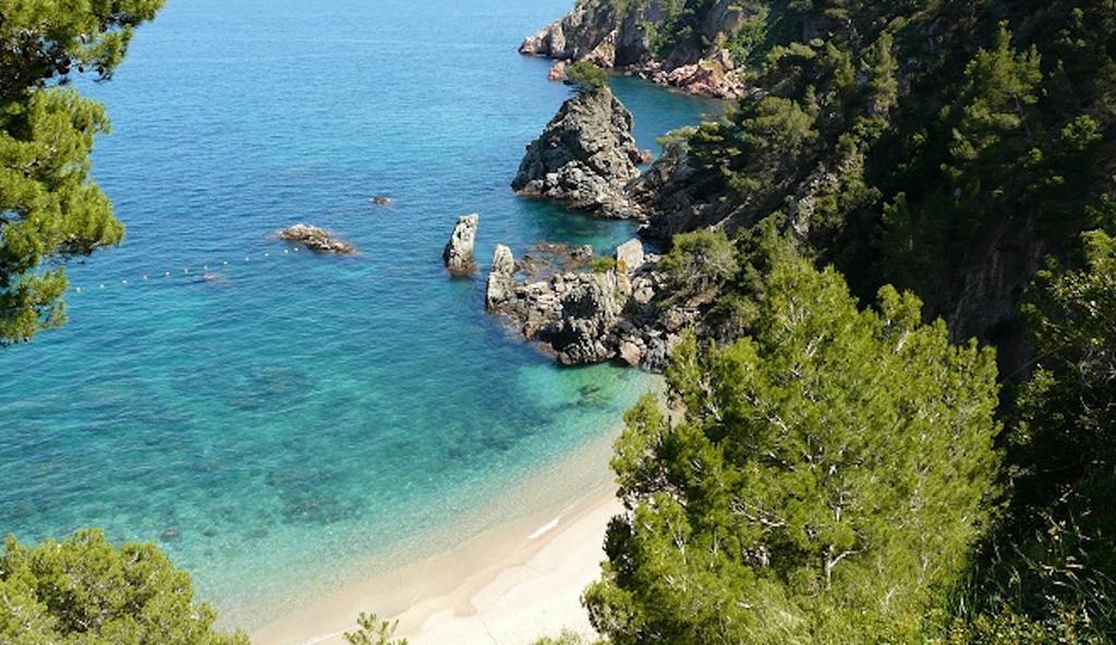 Apartment Apartament Antic Plankton Calella De Palafrugell